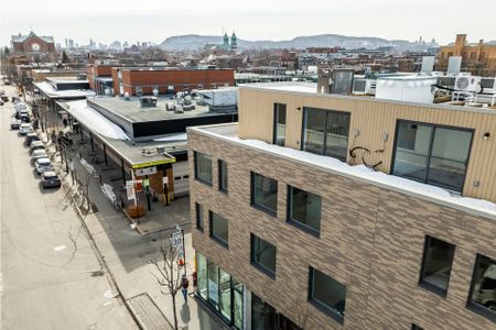 Condo for rent, Montréal (Rosemont/La Petite-Patrie) - Photo 2