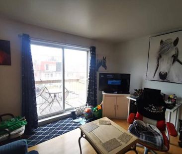 1463 Rue Holmes, app.1, J4T 1P7, Longueuil - Photo 2