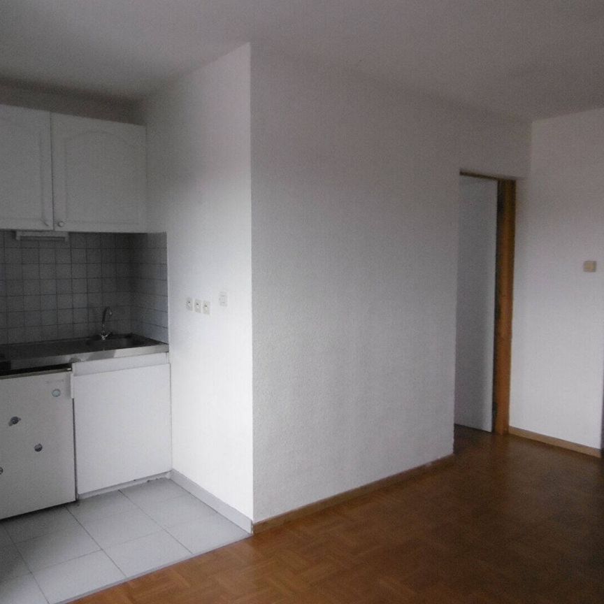 Location appartement 2 pièces 27.38 m² à Mulhouse (68100) - Photo 1