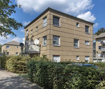 3-Zimmer-Wohnung mit Balkon in Herne-Röhlinghausen mieten - Foto 4