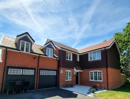 5 bedroom detached house to rent - Photo 3