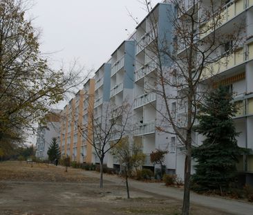 3 Raum-Wohnung mit Balkon - Foto 1