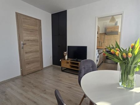 Na wynajem 2 pokoje Polna Jeżyce 43.3 m² - Фото 3