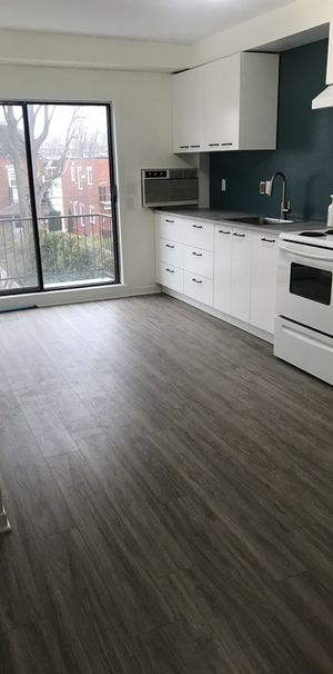 Logement Rénové - Photo 1