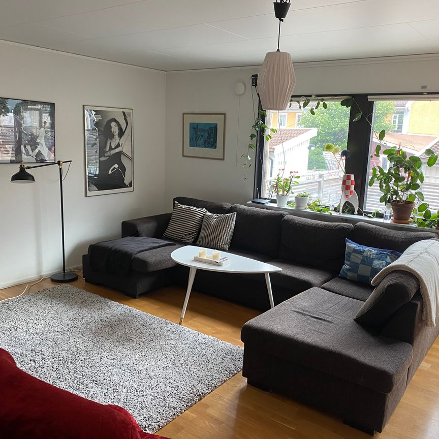 Trotzgatan, Falun - Foto 1