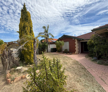 26 Helby Cl, Merriwa WA 6030 - House For Rent | Domain - Photo 3