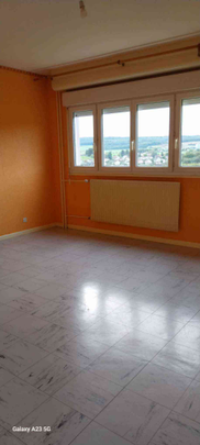 Location : Appartement 4 pièces 74 m2 – DELLE - Photo 1