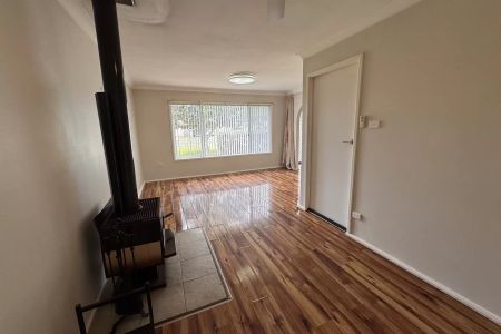 Catch of the Day - Photo 2