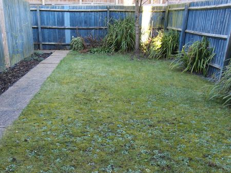 Town house to rent on - Photo 5