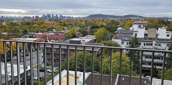 1 CH - 1 SDB - Montréal - $1,395 /mo - Photo 2