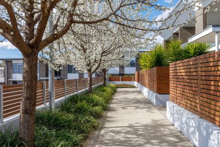 55/47-49 Mowatt Street, Queanbeyan - Photo 5