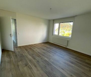 Chemin des Carabiniers 5, 3.5 pièces au 2ème Nord rénové - Photo 1