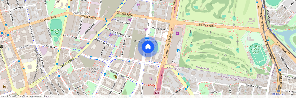 23 Hatbox Place Waterloo, Sydney, New South Wales 2017