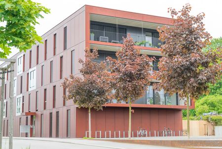 2.5 Zimmer, 76 m², EG - Photo 2