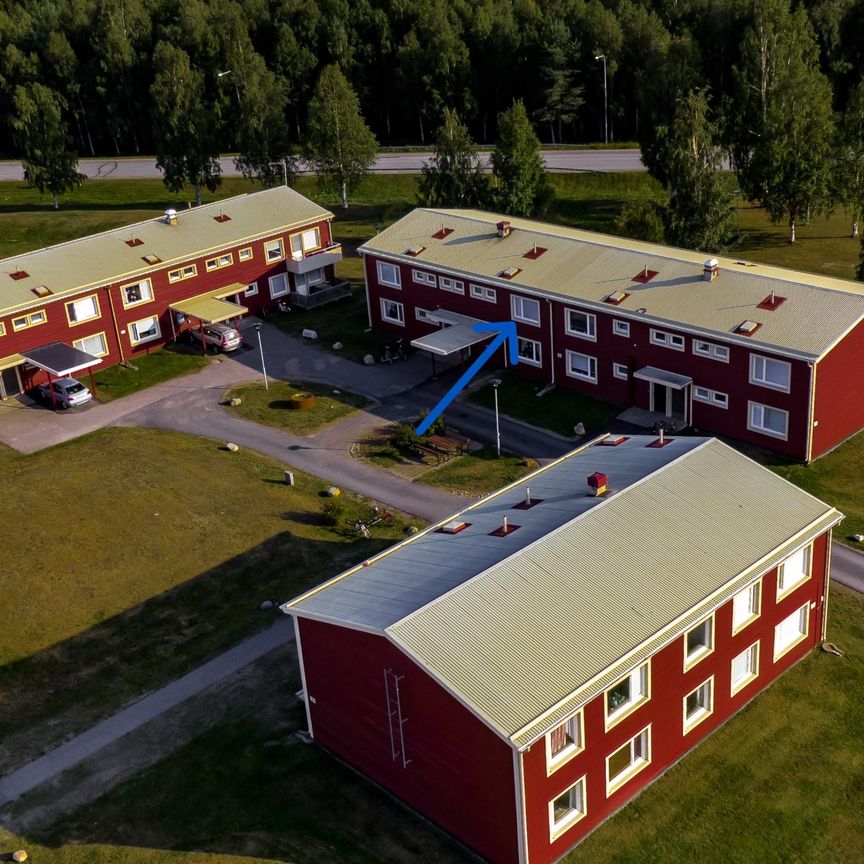 3 rok, Björnstigen 8, 2025-08-01 - Photo 2