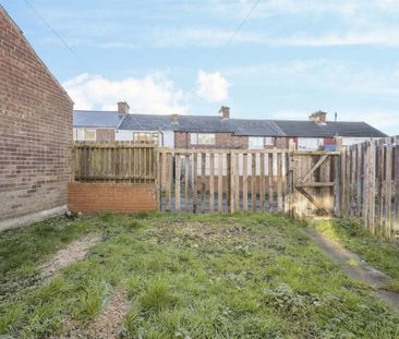 Alexandra Street - Photo 1