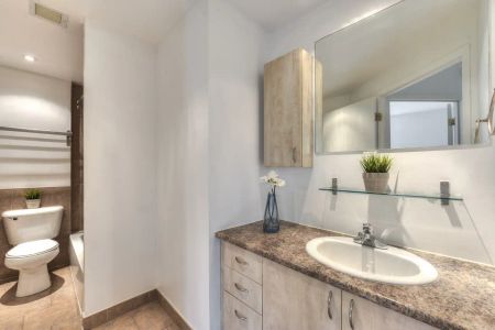4488 STE-CATHERINE — Superbe 3 ½ avec une magnifique vue – À partir de 1 700 $ - Photo 5