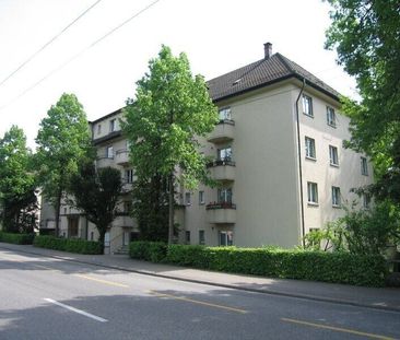 Super attractive apartment - Photo 3