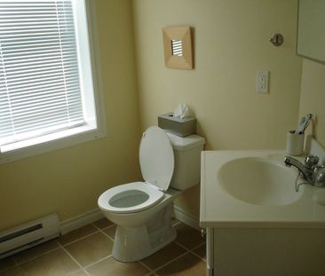 242 Weber St. W - Photo 4