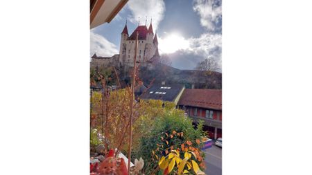 1 Zimmer-Wohnung in Thun (BE), möbliert, auf Zeit - Foto 4