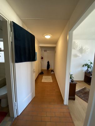 Rent a 2 rooms apartment in Olten - Foto 1
