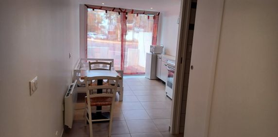 Location Appartement 1 pièce 17m² - Photo 2