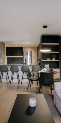 3 ½ entièrement meublé à louer Saint-Jean-Baptiste janvier 2026 - Photo 1