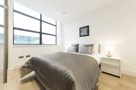 Carlow Street, Carlow Street, NW1 - Photo 5