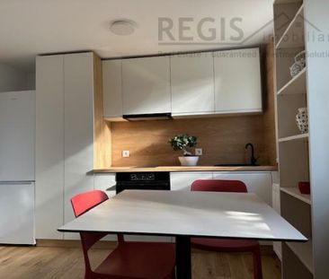 CASA 2 CAMERE COCHETA, TEREN 800MP, HARMAN - Fotografie 4