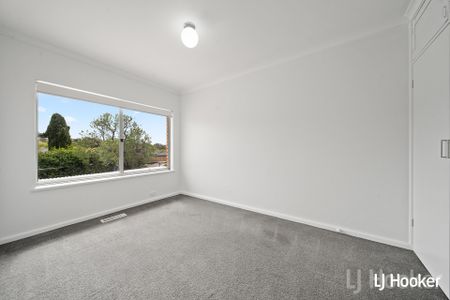 3 Hazelwood Street, Queanbeyan NSW 2620 - House For Rent | Domain - Photo 4