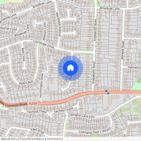 Duke Street, Bexhill-on-Sea, TN39