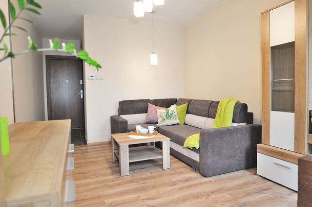 (Symbol 439841) MIESZKANIE na WYNAJEMSzczecin, Niebuszewo 2 pokoje w idealnej lokalizacji - ul. Sikorskiego - Photo 1