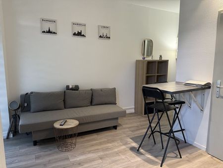Location Appartement 1 pièce 19m² STRASBOURG 67200 - Photo 2