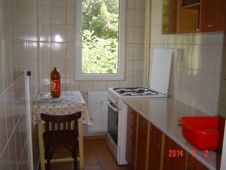 Brancoveanu luica izvorul oltului - Photo 5