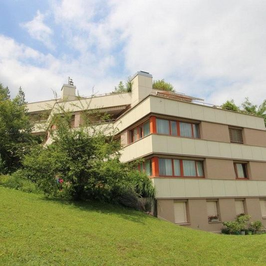 Grosszügige 5-Zimmer-Wohnung in Adliswil - Photo 1