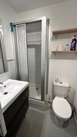 Location Appartement 1 pièce 19m² - Photo 3