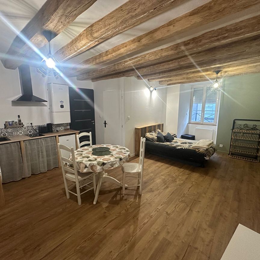 Location appartement 1 pièce, 28.96m², Chalonnes-sur-Loire - Photo 1