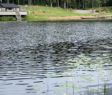 Liljebergsgatan, Borås - Photo 3