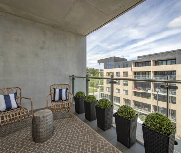 Spacious One Bedroom in "Koben" in Campbell - Photo 6