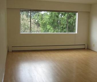 HUGE 1 Bedroom in Great Marpole location! Spacious & Bright!!! - Photo 3