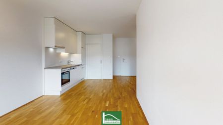 Welcome Home -Lend - Foto 2