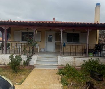 Μονοκατοικία για ενοικίαση - Κερατέα, - Photo 5