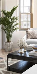 Haddon Hall - Photo 3