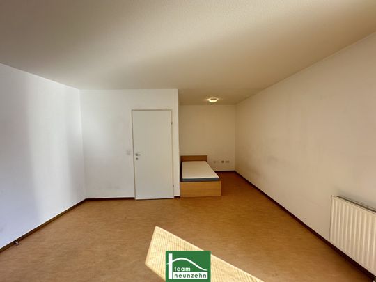 All-inclusive Wohnung in Hofruhelage beim Kirschblütenpark – nahe U1 Kagran! Warmmiete! - Photo 1