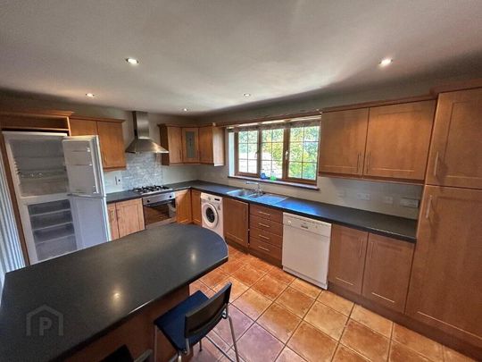 2 Springfield Court, Banbridge, BT32 3LD - Photo 1