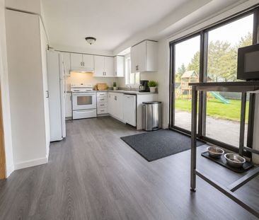For Lease - 56 Livingstone Street, Barrie, Ontario - Photo 2