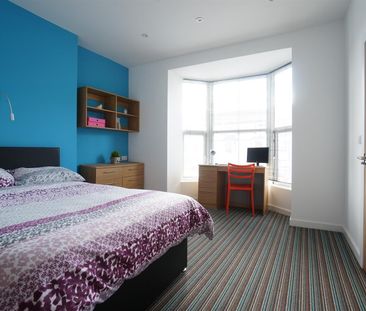 50 Holyhead Road - Photo 6