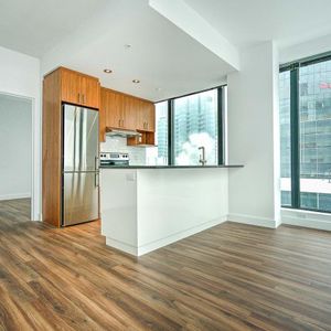 1 chambre - 1380 René-Lévesque Ouest, Montréal - Photo 3