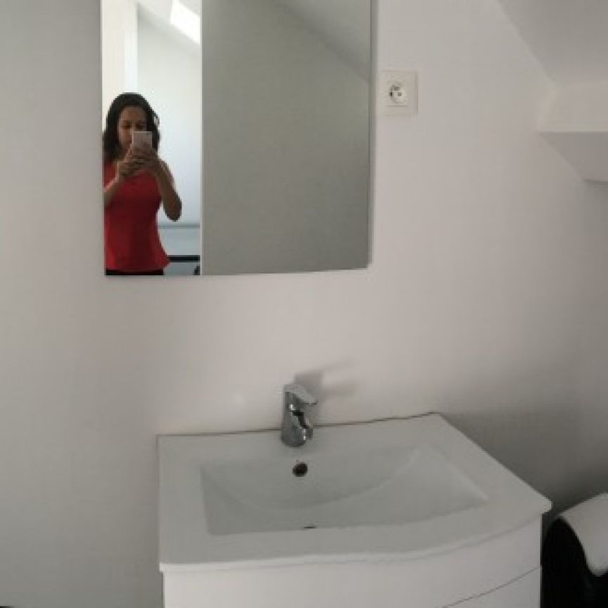 Eaux Roommate 3 Bedrooms at Marcq en Baroeul - Photo 2