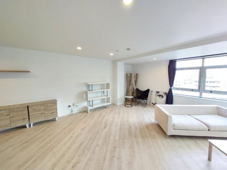 Recently Renovated Apartment - Photo 3